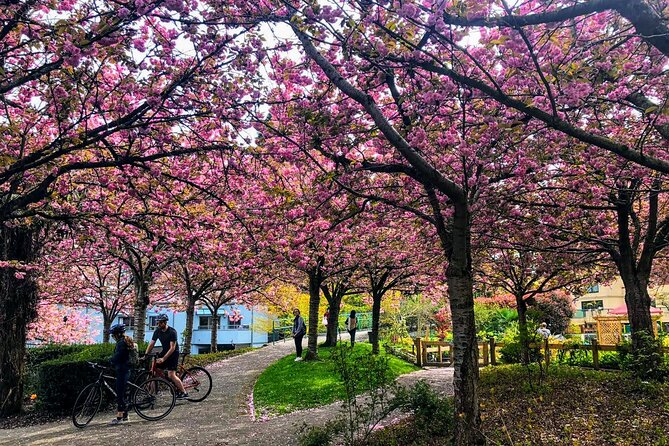 Vancouver City Tour With Cherry Blossom Festival Private - Inclusions