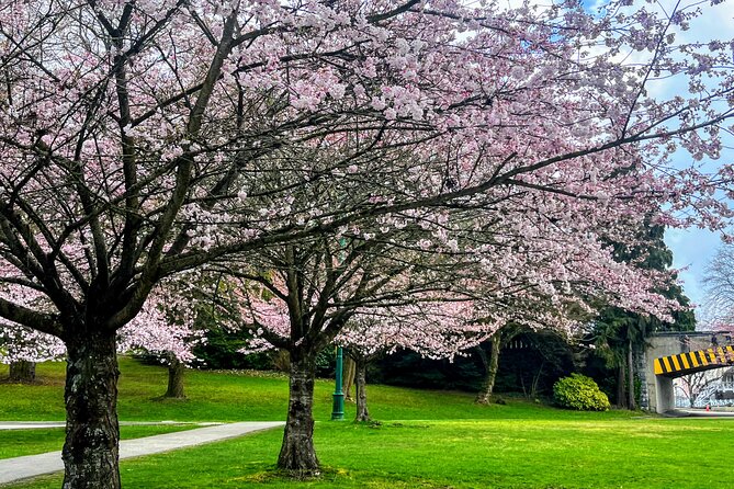 Vancouver City Tour With Cherry Blossom Festival Private - Tour Accessibility
