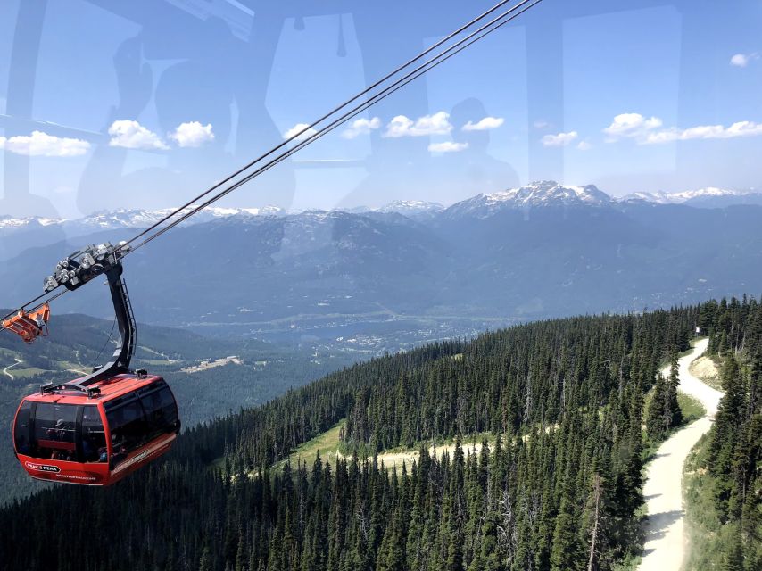 Vancouver City Tour With Look Out and Whistler Highlights - Panoramic Lookout Tower Views
