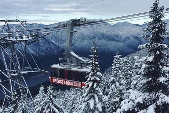 Vancouver City Tour With Stanley, Grouse Mountain & Capillano Suspension Private - Pickup and Booking Details