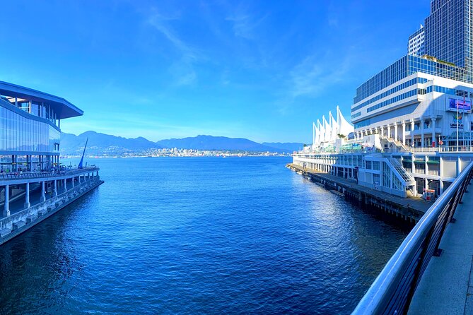 Vancouver City Tour With Stanley, Grouse Mountain & Capillano Suspension Private - Tour Feedback and Ratings