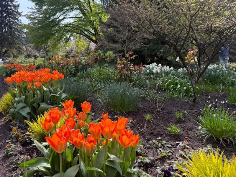 Vancouver City Tour+VipCar+Stanley Park+ChinaTown/SmallGroup - An In-Depth Look at the Tour