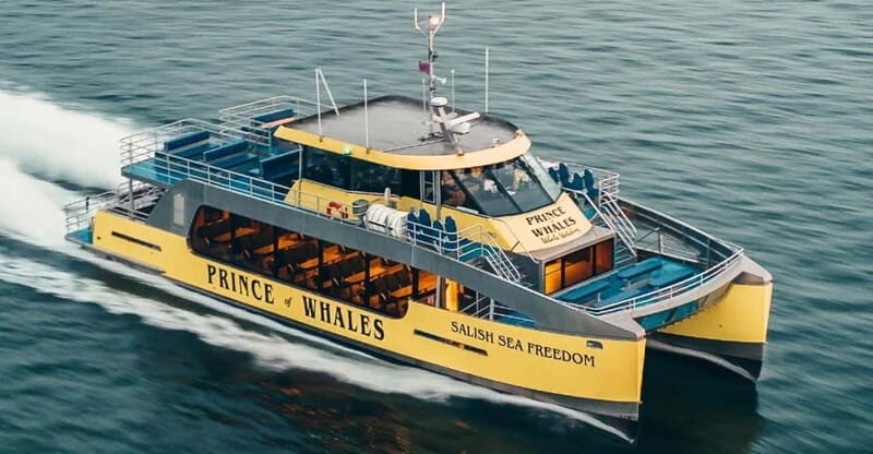 Vancouver: Covered Whale Watching Adventure with Free Photos - The Sum Up