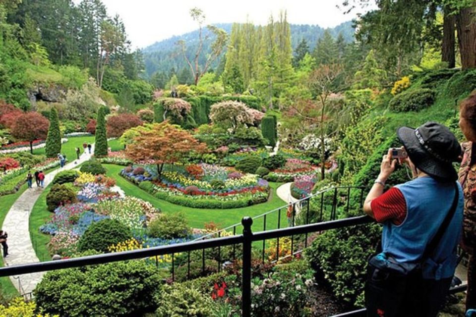 Vancouver Day Tour | Visit The Most Unique Places! Private - Vandusen Botanical Garden and La-Casa Gelato