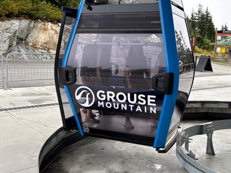 Vancouver Grouse Mountain & Granville Island Tour - An Overview of What to Expect