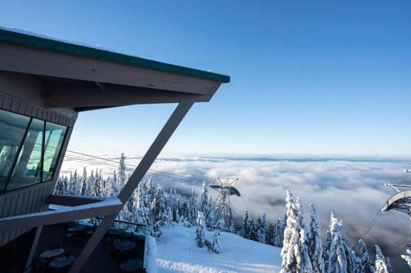 Vancouver: Grouse Mountain & Stanley Park Signature Tour - Who Will Love This Tour?