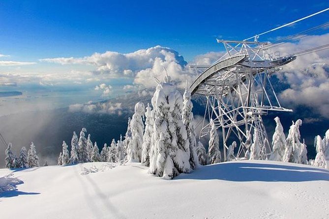 Vancouver, Grouse Mountain, Suspension &The Look Out Private Tour - Grouse Mountain Highlights