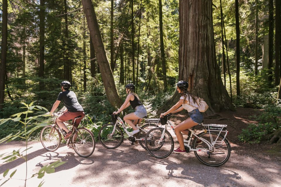 Vancouver: Half-Day City Highlights E-Bike Tour Age 16+ - Inclusions
