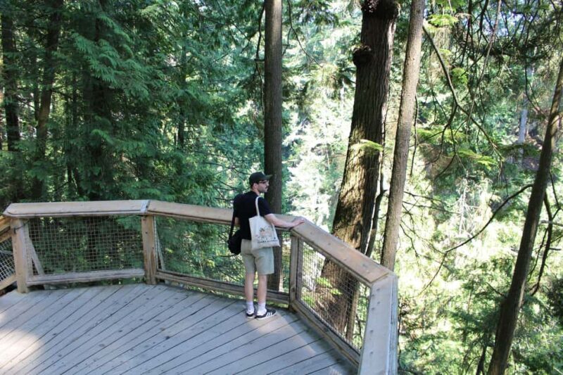 Vancouver Highlights: Capilano Bridge & Granville Island - Who Should Take This Tour?