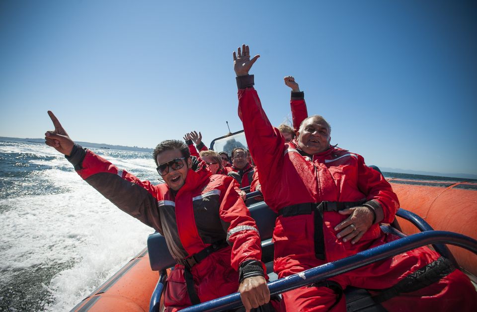Vancouver: Howe Sound Fjords, Sea Caves & Wildlife Boat Tour - Highlights of the Tour