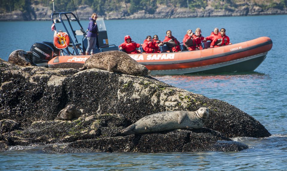 Vancouver: Howe Sound Fjords, Sea Caves & Wildlife Boat Tour - Suitability and Recommendations