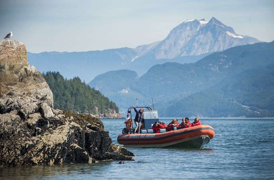 Vancouver: Howe Sound Fjords, Sea Caves & Wildlife Boat Tour - Seal Colonies and Bird Sanctuaries