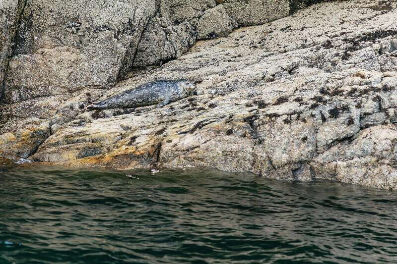 Vancouver: Indian Arm and Granite Falls Zodiac Boat Tour - Setting the Scene: Why Choose a Zodiac Boat Tour?