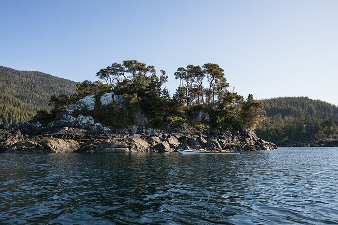 Vancouver Island: 2-Hour Guided Kayak Tour from Telegraph Cove - FAQ: Your Questions About the Vancouver Island Kayak Tour