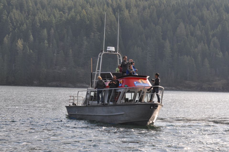Vancouver Island: Full-Day Grizzly Bear Tour at Toba Inlet - Key Points