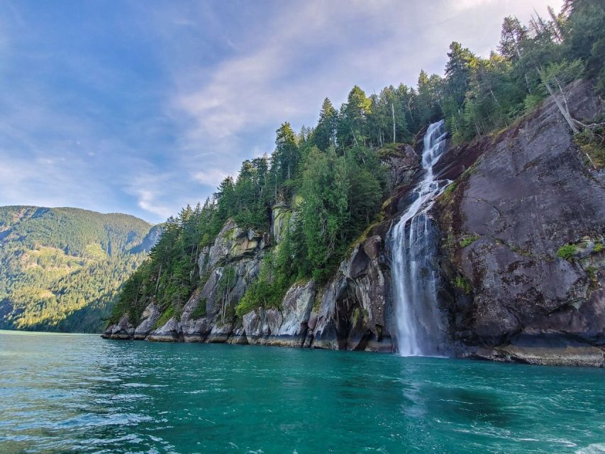 Vancouver Island: Full-Day Grizzly Bear Tour at Toba Inlet - Klahoose First Nation Connection