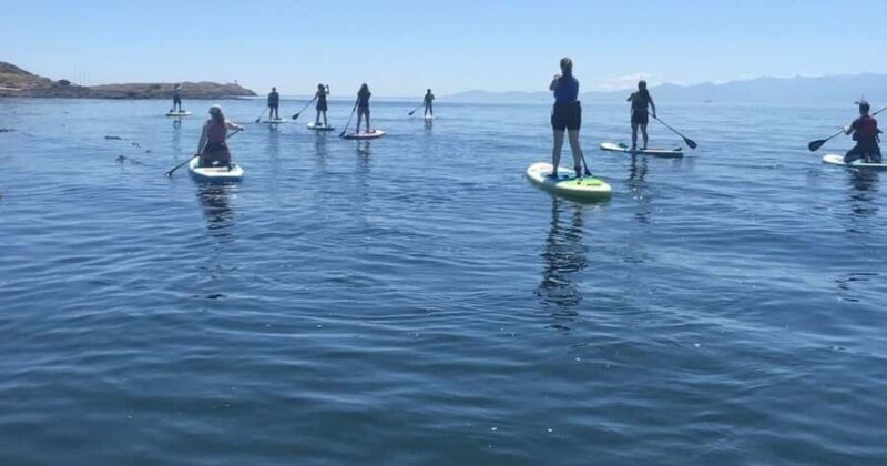 Vancouver Island: Marine Ecological Tour with Mer Tales - Key Points