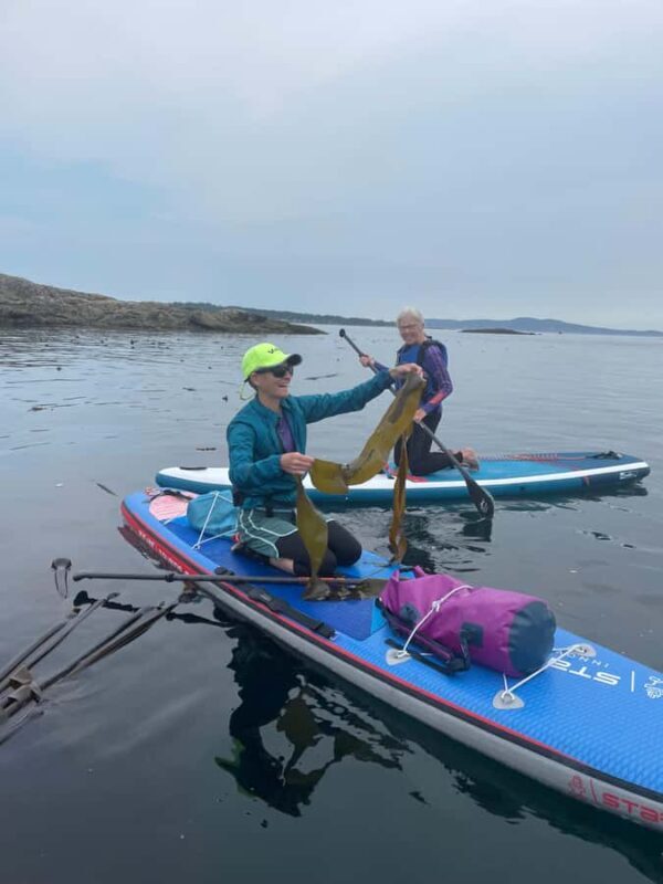Vancouver Island: Marine Ecological Tour with Mer Tales - Why This Tour Offers Real Value