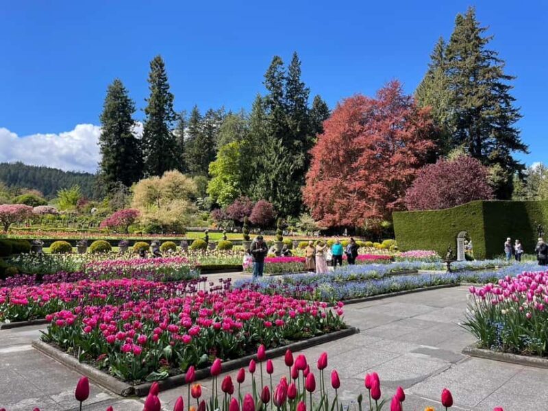 Vancouver island: Victoria & Butchart Gardens day tour - Who Will Love This Tour?