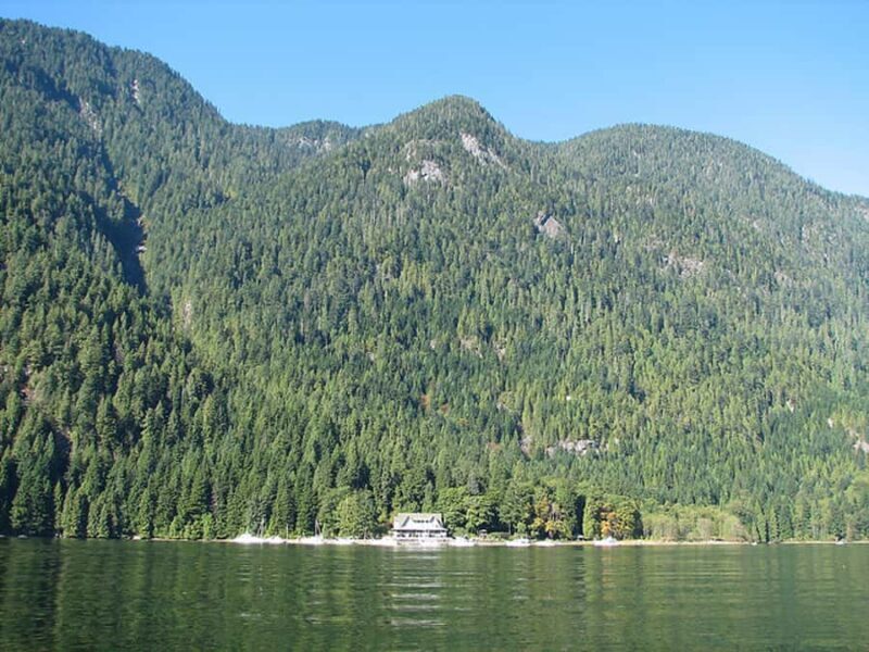 Vancouver: Lunch and Brunch Cruises - An Overview of the Experience