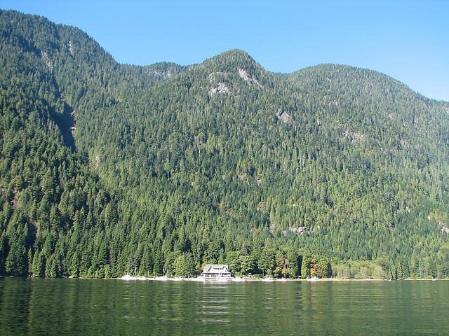 Vancouver: Lunch and Brunch Cruises - FAQ about Vancouver Lunch and Brunch Cruises