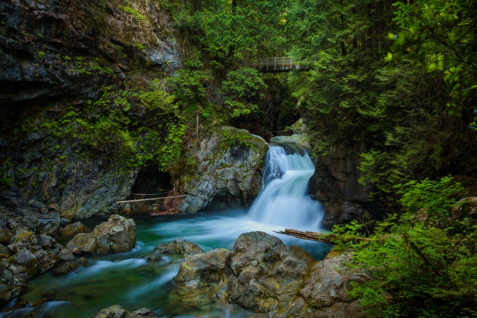 Vancouver: Lynn Valley Suspension Bridge & Nature Walk Tour - Key Points