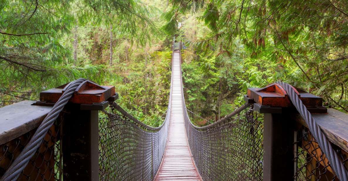 Vancouver: Lynn Valley Suspension Bridge & Nature Walk Tour - Highlights