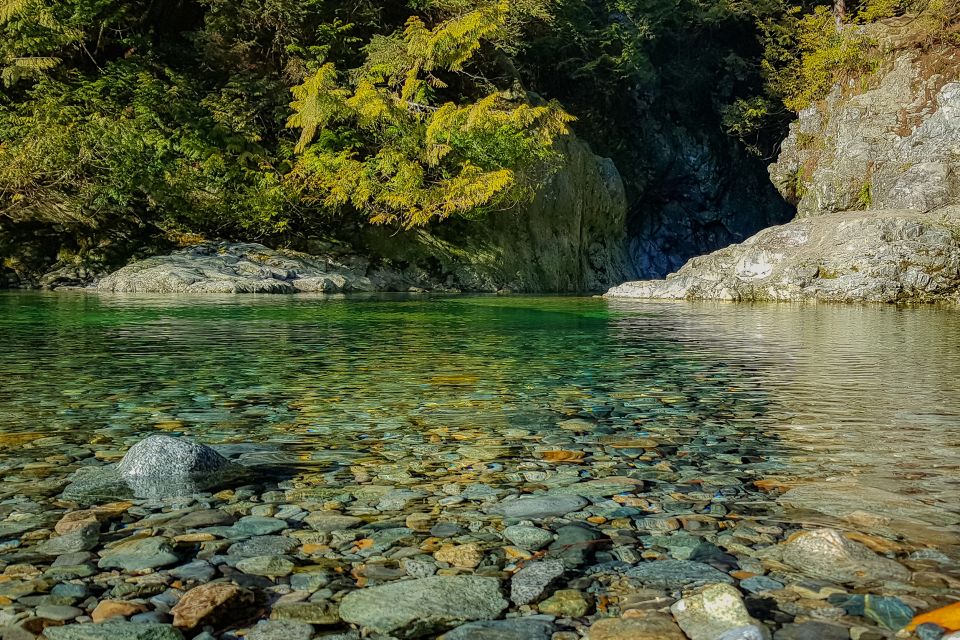 Vancouver: Lynn Valley Suspension Bridge & Nature Walk Tour - Pickup and Transportation
