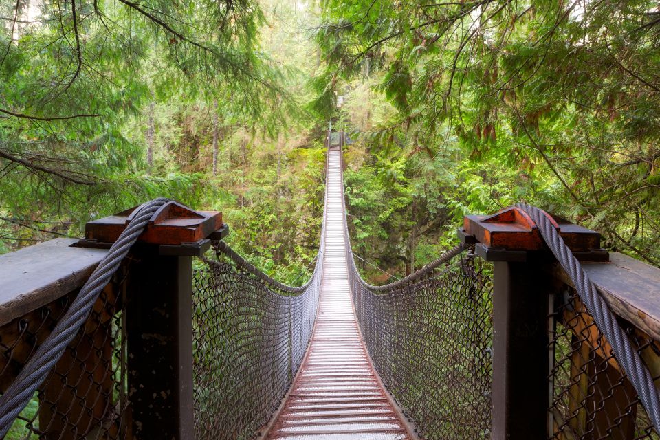 Vancouver: Lynn Valley Suspension Bridge & Nature Walk Tour - Rainforest Exploration