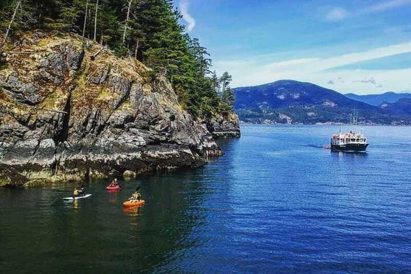 Vancouver: Morning Kayak & Seal Cruise - Final Thoughts: Who Will Appreciate This Tour?