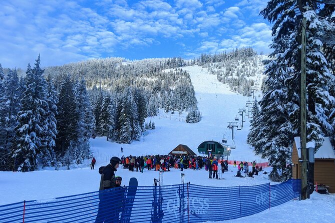 Vancouver Mountain to Mountain (Grouse,Cypress,Mount Seymour) Private - Activities and Highlights