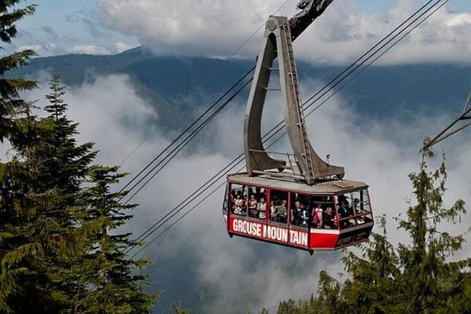 Vancouver Mountain to Mountain (Grouse,Cypress,Mount Seymour) Private - North Shore Mountains