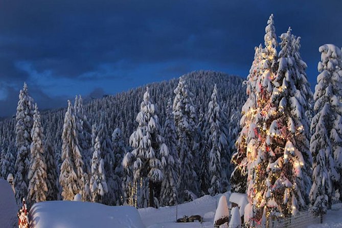 Vancouver Mountain to Mountain (Grouse,Cypress,Mount Seymour) Private - Tour Reviews