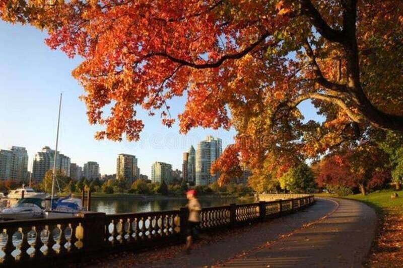 Vancouver : Must-See Attractions Walking Tour With A Guide - Key Points