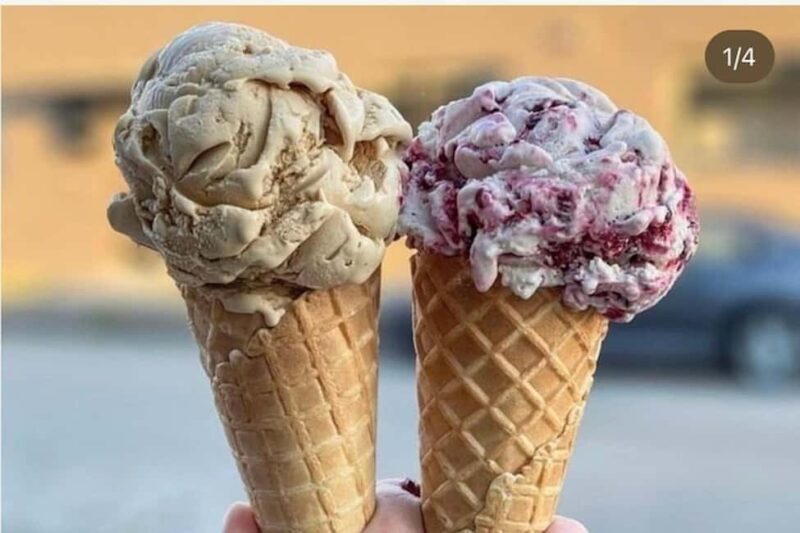 Vancouver: North Shore Food Tour with Harbour ride - Practical Tips for Participants