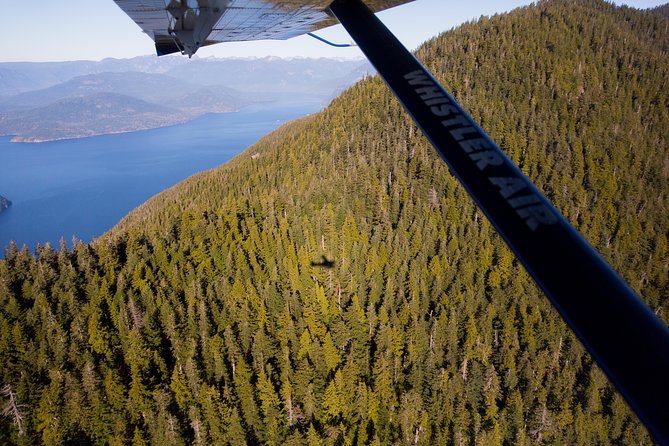 Vancouver Panorama Classic Seaplane Tour - Tips for a Great Experience