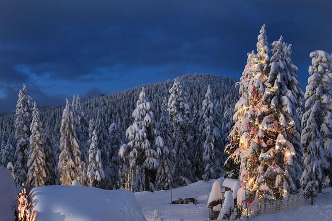 Vancouver Perfect Day Tour Grouse Mountain'& Capilano Suspention Bridge Private - Inclusions