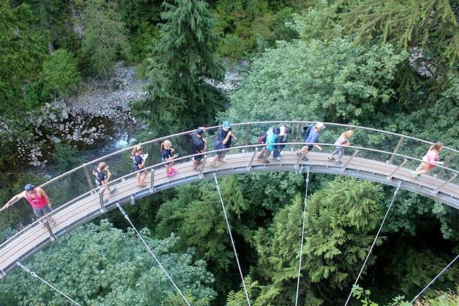 Vancouver Perfect Day Tour Grouse Mountain'& Capilano Suspention Bridge Private - Exploring Ancient Rainforests