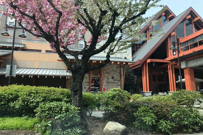 Vancouver Perfect Day Tour Grouse Mountain'& Capilano Suspention Bridge Private - Learning First Nations History