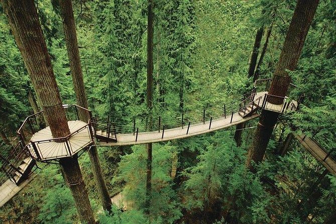 Vancouver Perfect Day Tour Grouse Mountain'& Capilano Suspention Bridge Private - Frequently Asked Questions