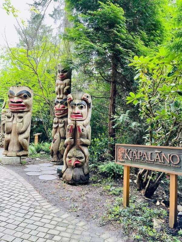 Vancouver: Private Tour City Sights, FlyOver & Capilano - Key Points