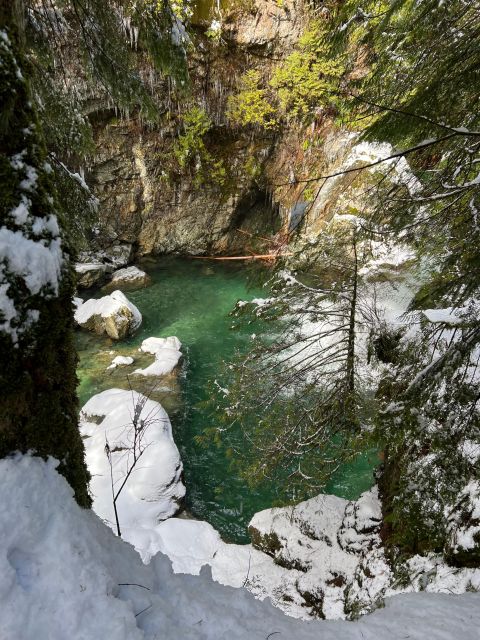 Vancouver: Rainforest Waterfall Hike and Suspension Bridge - Highlights of the Hike