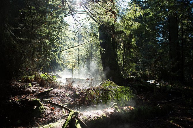 Vancouver Secrets of Stanley Park Walking Tour - Engaging Tour Guides