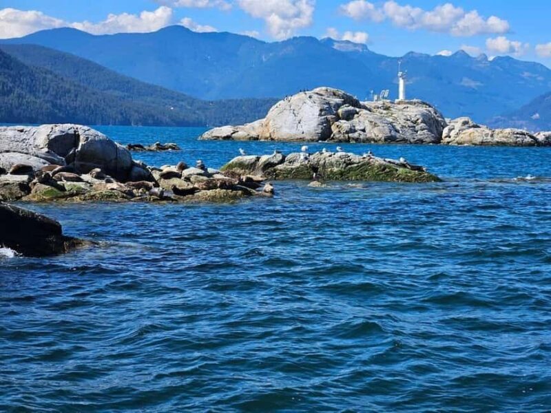 Vancouver: Snorkel, Kayak, and Seal Adventure Boat Tour - Why This Tour Excels: The Authentic Appeal