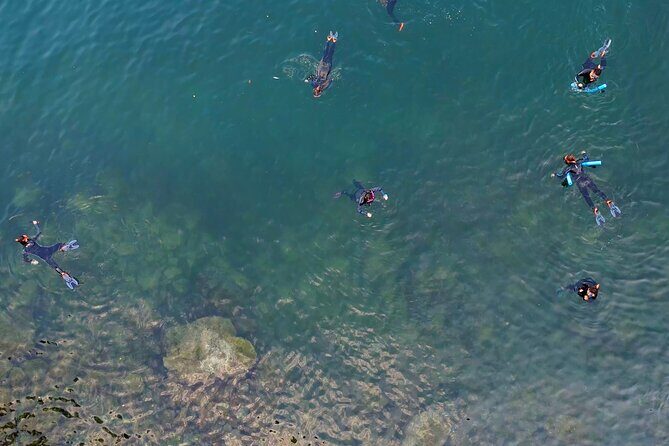 Vancouver: Snorkeling Seals Kayaking Scenic Boat Tour - FAQs