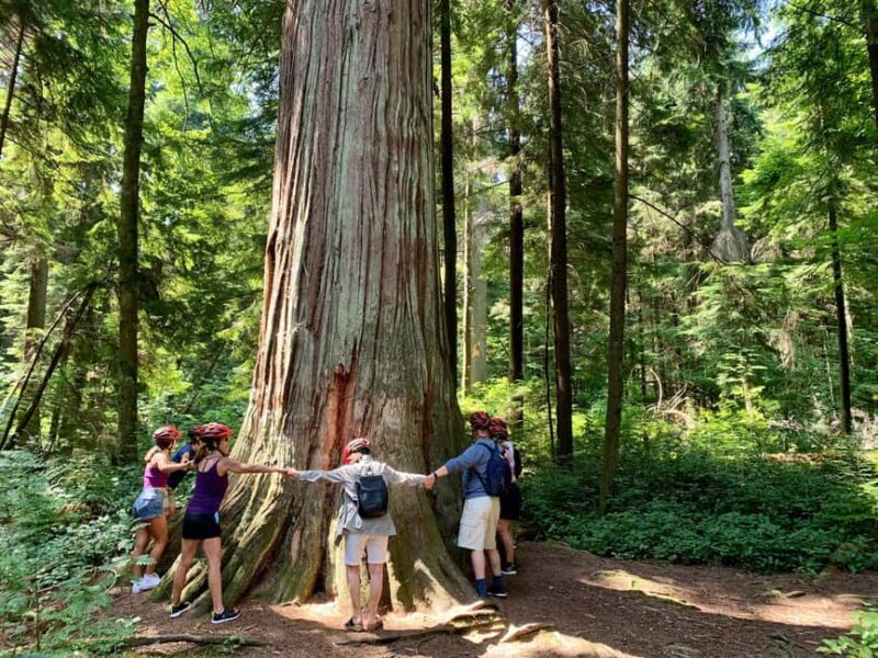 Vancouver: Stanley Park Bike Tour | E-Bike Upgrade Avail. - Key Points