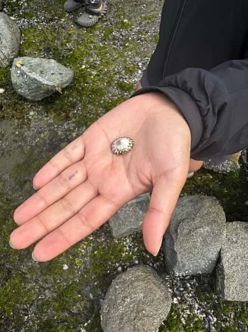 Vancouver: Stanley Park Salish Sea & Me - Exploring the Stanley Park Salish Sea & Me Tour in Detail