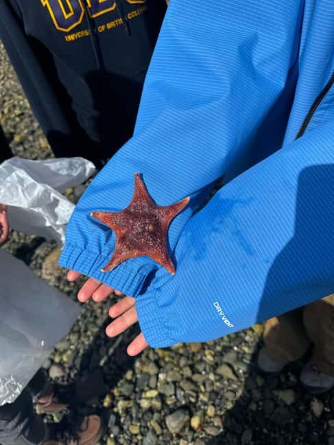 Vancouver: Stanley Park Salish Sea & Me - Frequently Asked Questions