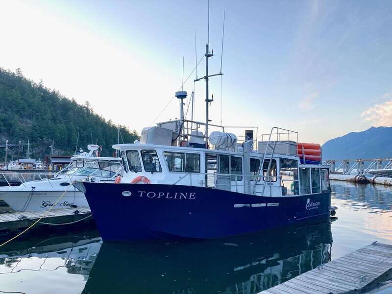 Vancouver: Sunset Boat Cruise with Complementary Bubbly - Vancouver: Sunset Boat Cruise with Complementary Bubbly - A Practical Review
