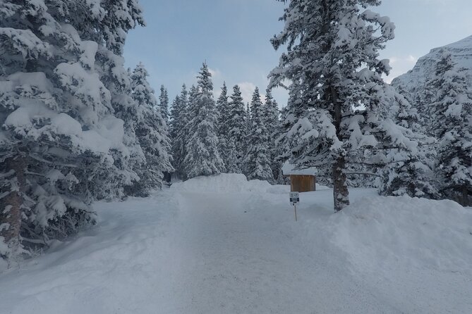 Vancouver to Banff 4 Days Rockies Lake Louise Snow Adventure Tour Private - Additional Information